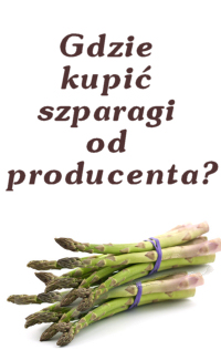 gdzie-kupic
